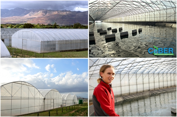 Dr Melinda Griffiths at the BioDelta farm where Spirulina is grown and harvested.
