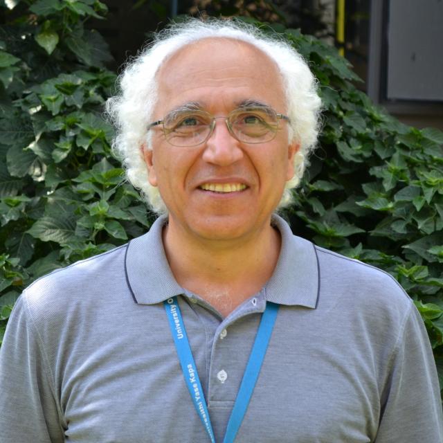 Emeritus Professor  Alireza Baghai-Wadji