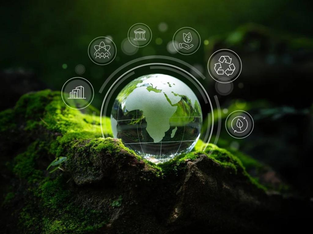 Life Cycle Assessment