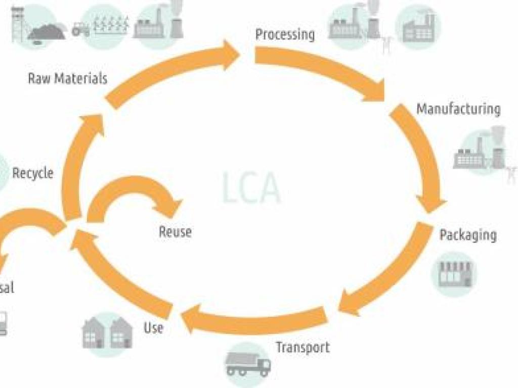 Life Cycle Assessment 2024